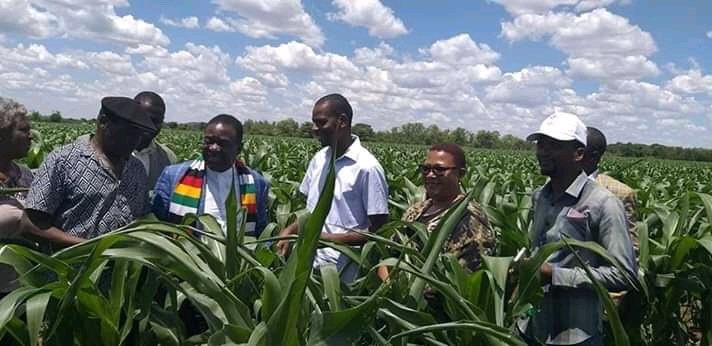 3. DROUGHT - the threat of a severe drought looms. Many regions of the country have received significantly below average rainfall, with many communities behind with their planting. Even the president’s own maize crop was showing signs of distress a few weeks ago.