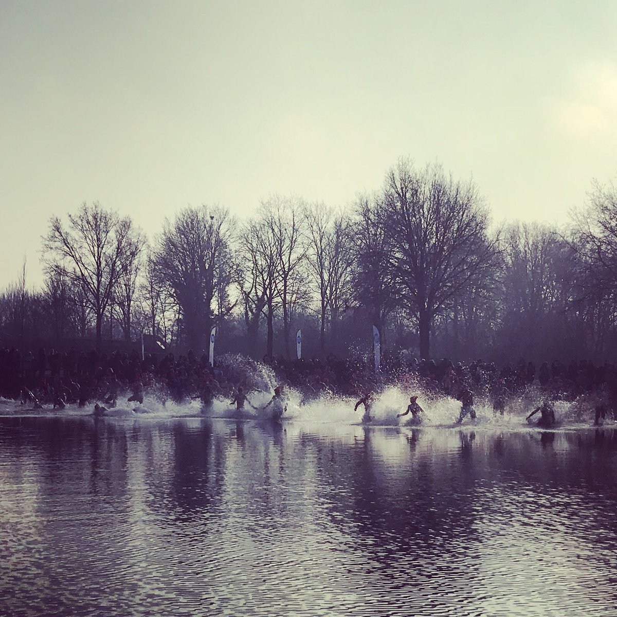 Geert-Jan tweet media