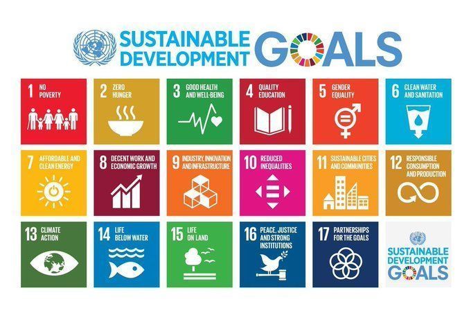 FAO's tweet photo. We have 10 years left to achieve the #SDGs! 

17 goals. 
10 years.
1 future.   

How @FAO is working to achieve the #SDGs 👉https://t.co/BQKqLJyq2n https://t.co/eWNCJfb2xY