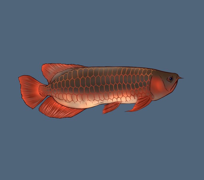 アロワナのtwitterイラスト検索結果 古い順