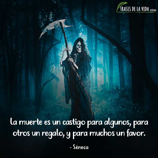 Frases de la vida on Twitter: 