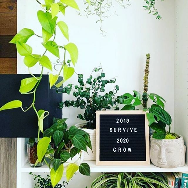 thehappyfactory's tweet photo. Live Laugh Love... The Happy Factory's Instagram シ https://t.co/HRvpOxzlai https://t.co/Wn2pvdPwhD