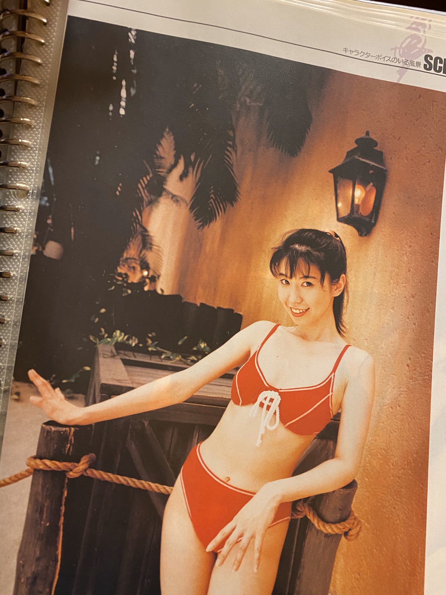 画像 三石琴乃の若い頃が超かわいい 結婚相手や子供についても紹介 Stillnessのなんでも語るブログ