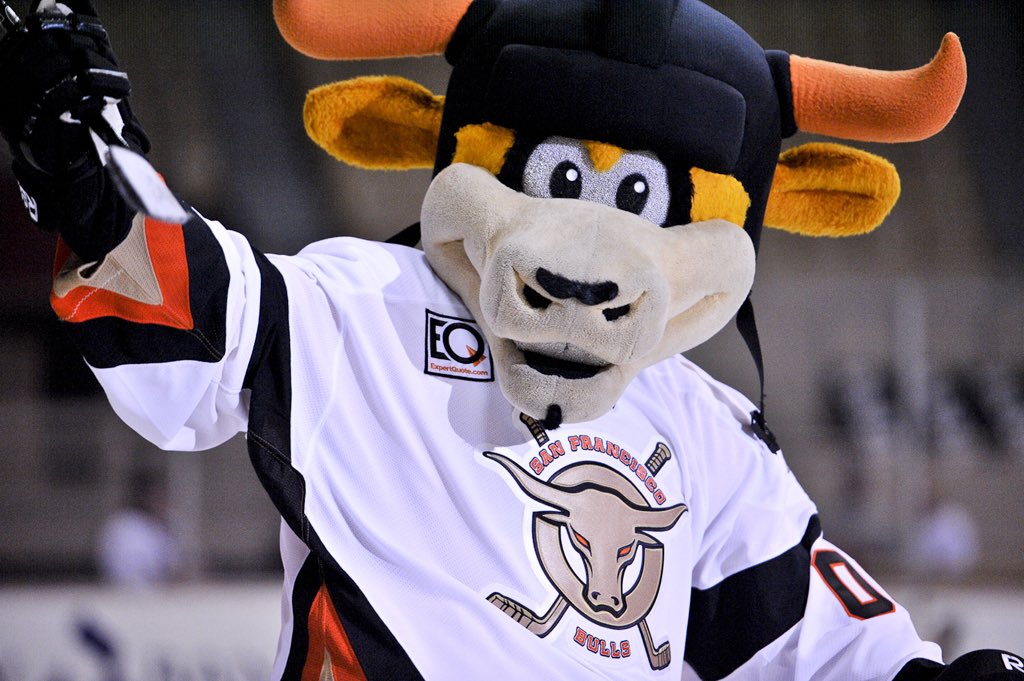 <a href="/SFBulls/">San Francisco Bulls</a> #NeverForget