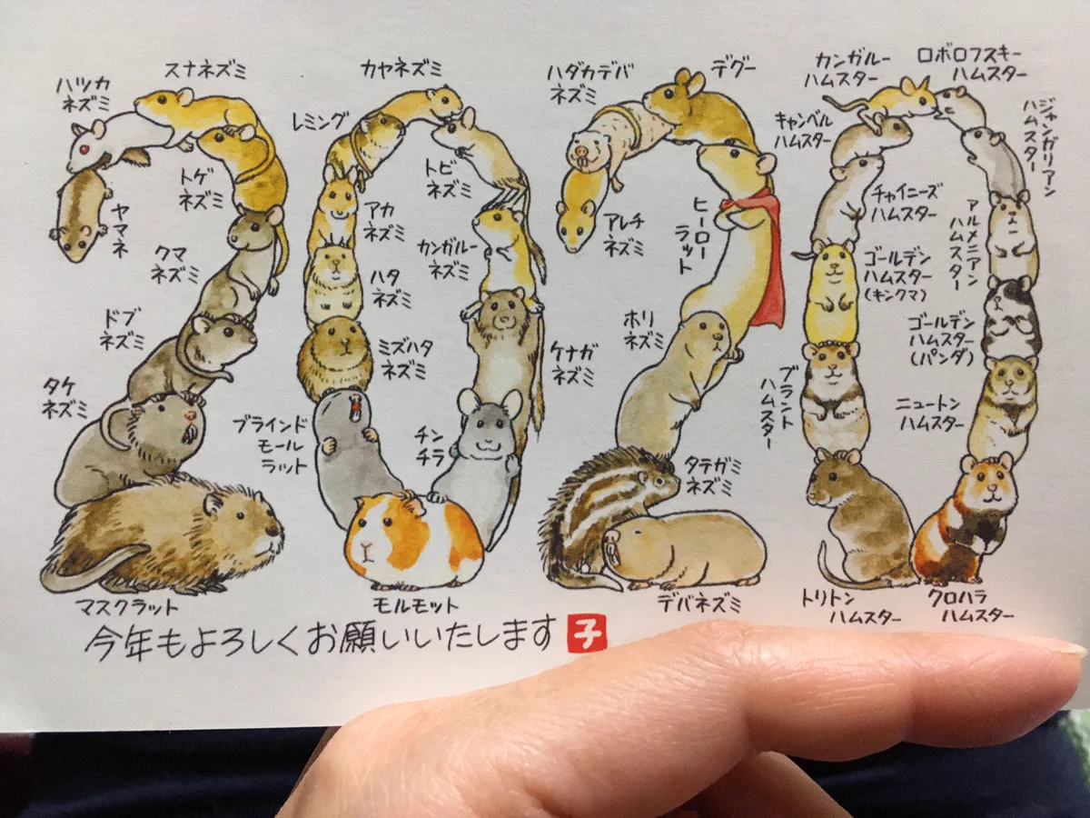 今年の干支にピッタリ！ネズミ大多数の年賀状‼