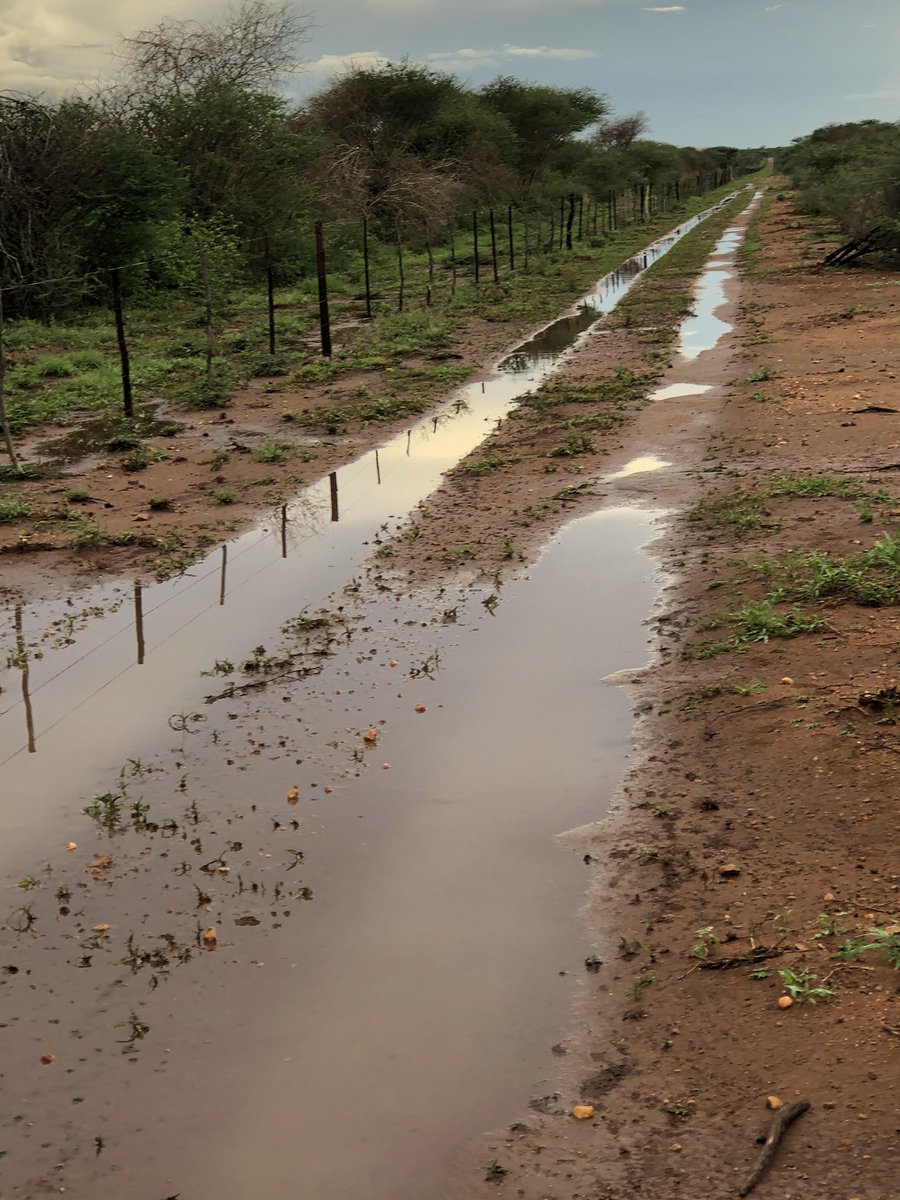UaapiU's tweet photo. This year started very well, with good rain received at the farm, https://t.co/QIxTxsD4bR