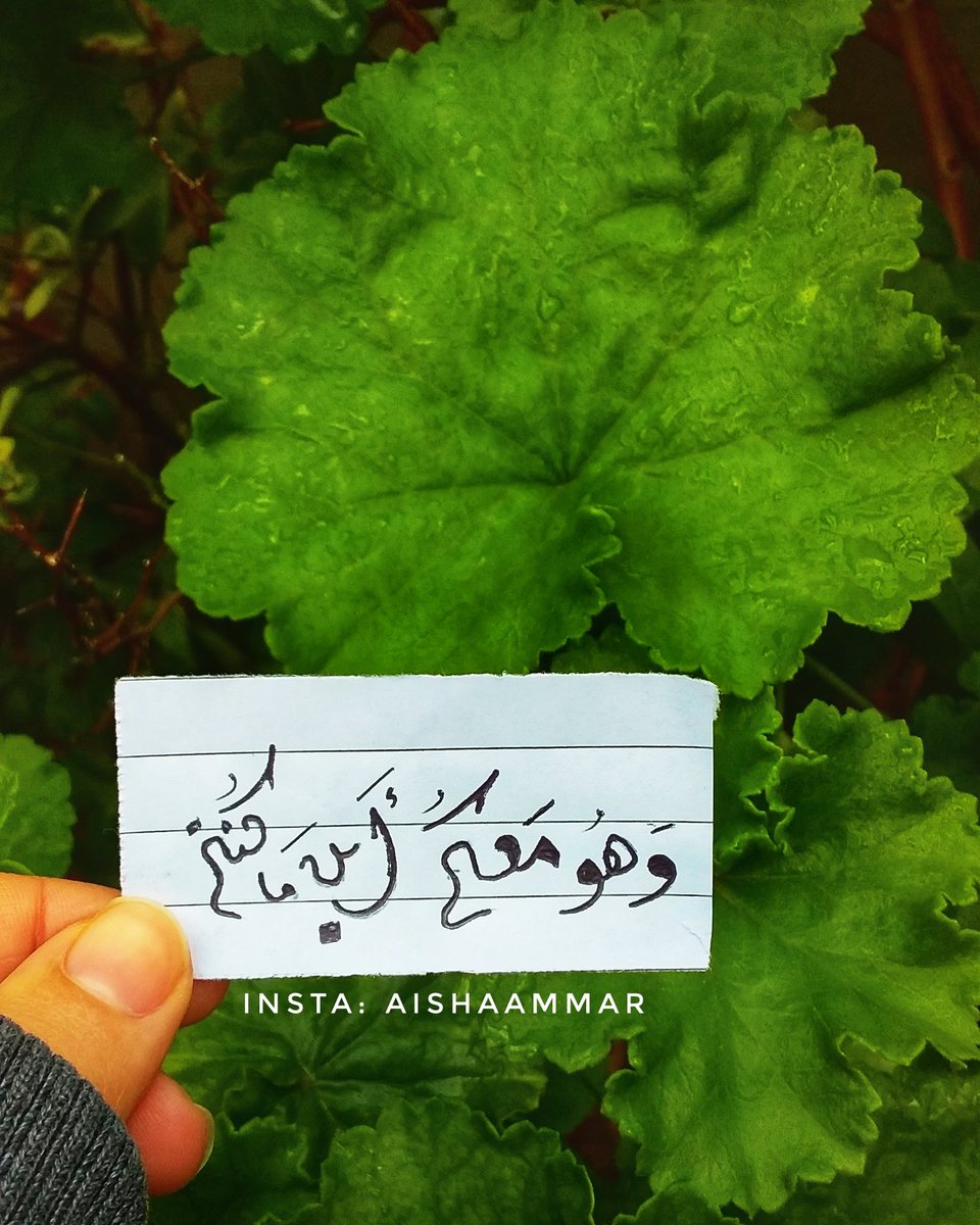 aishaammar8's tweet photo. الله سندك حين ينفض الجميع يده منك، الله نُورك حين تمشي وحيدًا في م��ان مُظلم،الله صوتك حين تدعي بخفاء من قلبّك، كُن لله يكن لك كل شيء.🖤🥀 https://t.co/eIQ7dof4W9