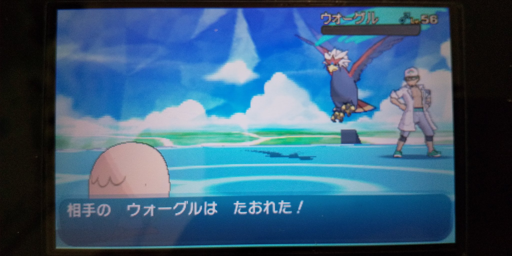 三谷 天パ 1回目で色レックウザ出てビビってる 勢いのままキュウコン ウォーグル ガオガエンを次々に突破 今度は反動ダメージに屈することもなく ここまで長かった ポケモン ポケモンサンムーン ポケモン一人旅 続 T Co 8w6yazc3xu