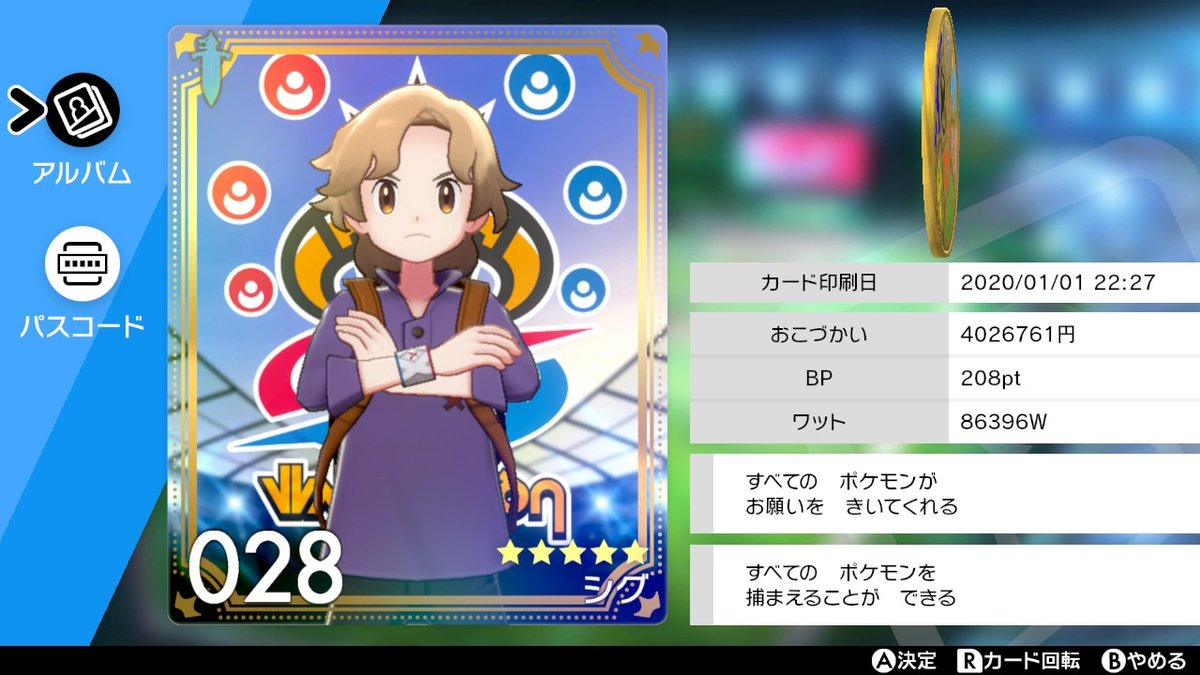 剣盾ファッション