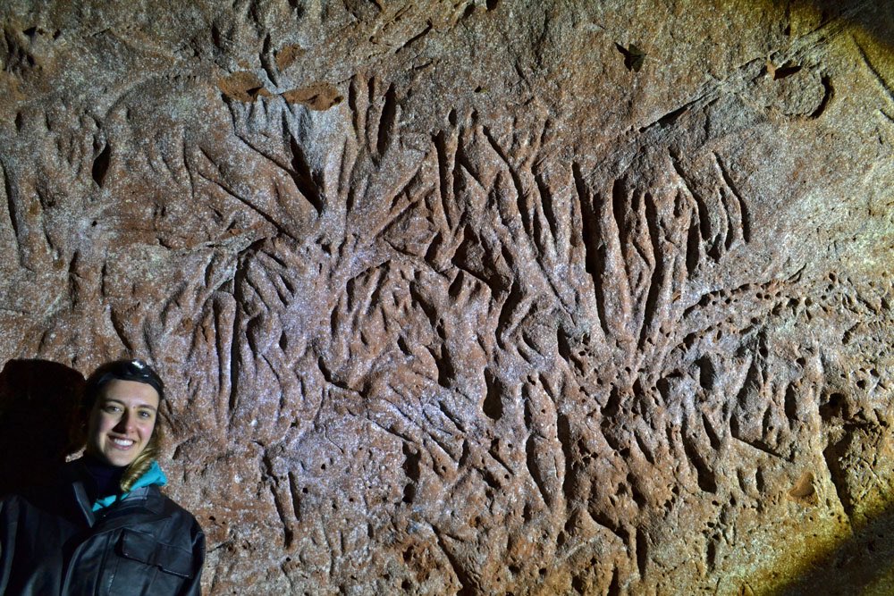 Giant sloths in South America excavated ENORMOUS tunnels during the Pleistocene. These remarkable megaburrows preserve the claw marks from the beasts that engineered them. More details and image credits here  https://www.discovermagazine.com/planet-earth/get-lost-in-mega-tunnels-dug-by-south-american-megafauna