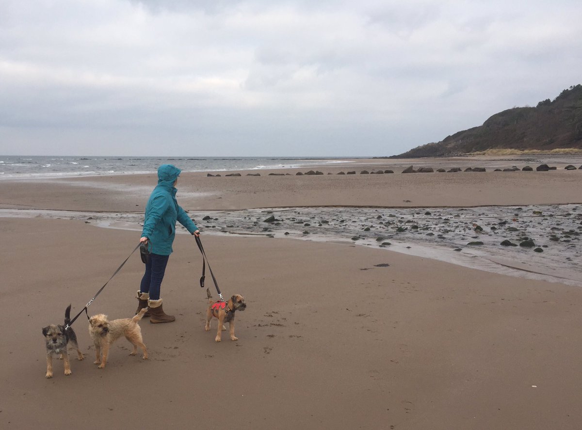First beach zoomies for 2020. Happy new year everyone 👋. All the best x