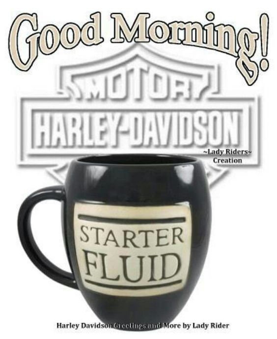 DKCustom1's tweet photo. Rise & Shine! Happy New Year!
#riseandshine #goodmorning #starterfluid #coffee #bikelife #harleylife #harleydavidson #motorcycles #justride #riding #road #motorcycle #dkcustom #stockbikessuck #lifebehindbars #ftw #rideordie #idratherberiding #livefree #ridefree #nofear #noregrets https://t.co/CNtzmxBcjy