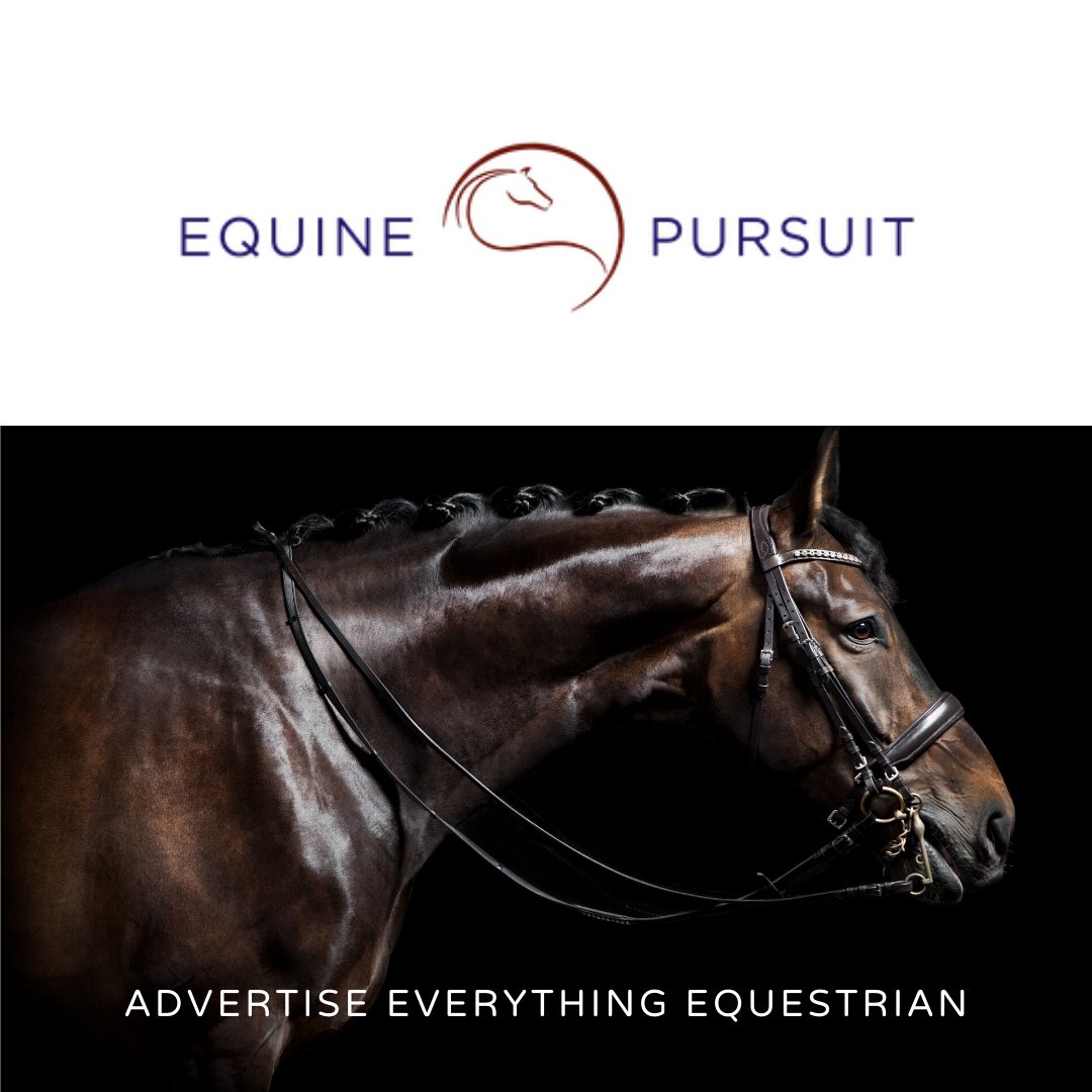 smooth_websites's tweet image. Equine Pursuit is launching today. Follow them &amp;amp; check their Instastory - there is a free offer to advertise your horse FREE! All ads for equipment and transport are FREE to list!!! soo.nr/f3aG
#equine #equestrian #horse #horsesales