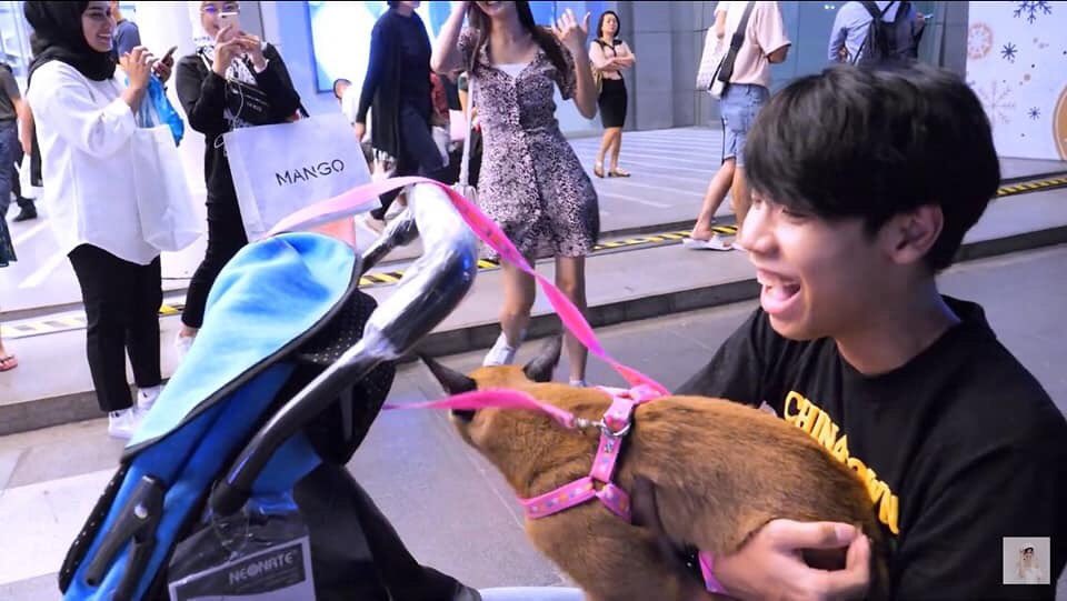 คือน้องไม่ควรออกไปข้างนอกอยู่แล้วค่ะ
แล้วคือน้องตัวสั่นแต่ก็ยังฟืนน้องอีกอ่ะ
แล้วแบบทิ้งน้องไว้หน้าร้าน ตัวเองเข้า
ไปกินสบายใจเลยอ่ะ แล้วน้องตื่นคนอ่ะ
เพราะมีคนมาถ่ายรูปน้องเยอะมากๆอ่ะ
ปากบอกรักสัตว์ แต่การกระทำย้อนแย้ง

 #เก๋ไก๋