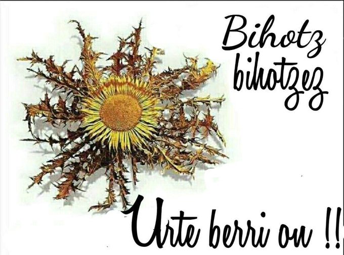 bancodeltiempo's tweet photo. GRACIAS a quienes han intercambiado habilidades, tareas y conocimientos en 2019. Eskerrik asko. Urte Berri on! Eskerrik asko #Vitoriagasteiz #trueke #intercambio #gratis https://t.co/iaEaTUu24p