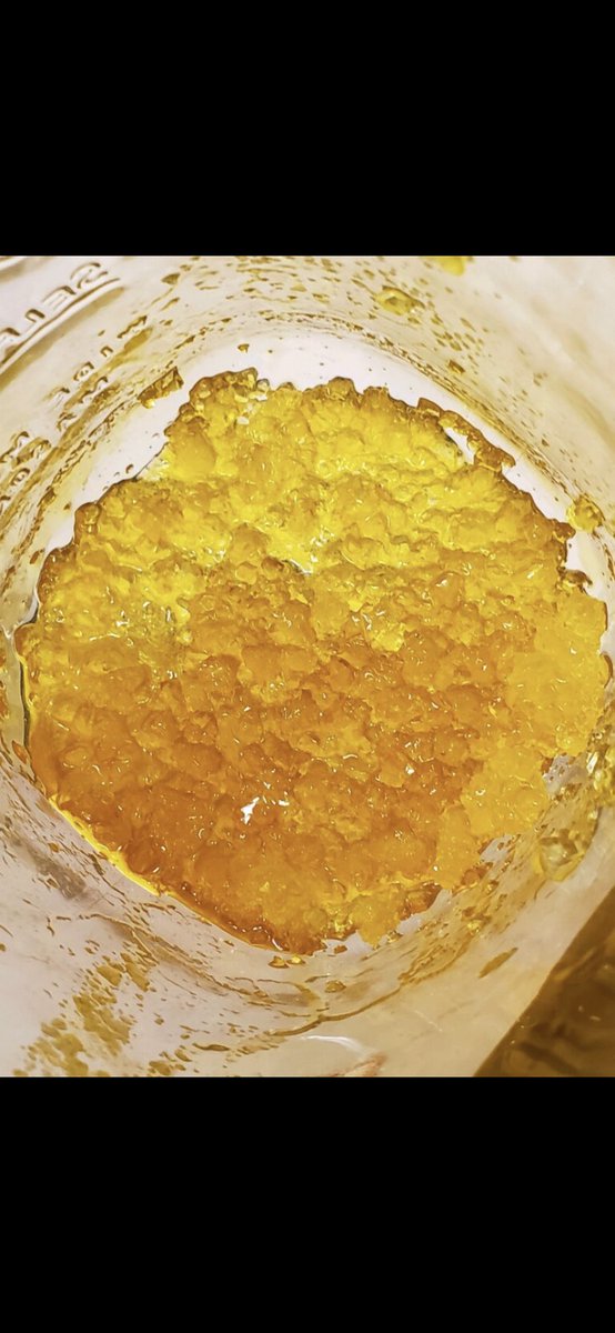 farms_yeti's tweet photo. #HappyNewYear πππ»πππ@yetifarmsco is #GettingYeti for Another #Amazing Year π of #PuebloSun βοΈAll #Organic #Medical & #Rec #Powerful #BlondeSugar See ππ²@vegasduane π‘ for #Delivery to your #Local #Dispensary π°#Denver #Colorado β·π #DJs #Finest π€ https://t.co/NvkPtzLrca