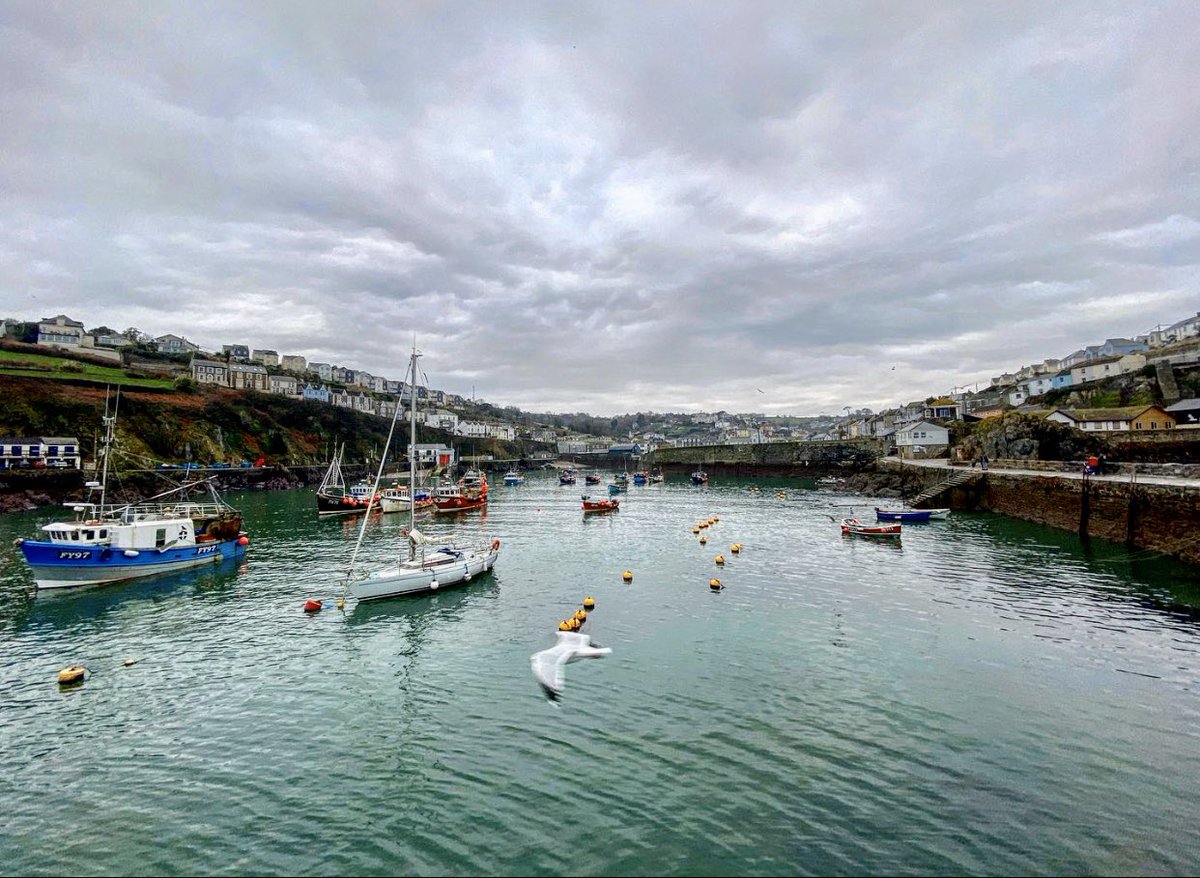 New Years Wander #Cornwall #nature @Britnatureguide @love_cornwall_ @piratefm @BBCCornwall @ThePhotoHour @BBCSpotlight @CornwallHour @ILoveCornwallUK @IMcMillan @reece_dinsdale @bbcweather #NewYearsDay2020