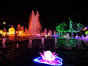 VisitCotedazur's tweet photo. Le #Festival "Nice, baie des lumières" vous donne rendez-vous jusqu'au 23 février prochain ! Un festival de spectacles et promenade lumineuse à ne pas manquer !
@cedrick_santini #CotedAzurFrance #NICEBDL #ILoveNice #bonplan #ideesortie #famille @Nice_Tourisme https://t.co/bBDSo7IwUY