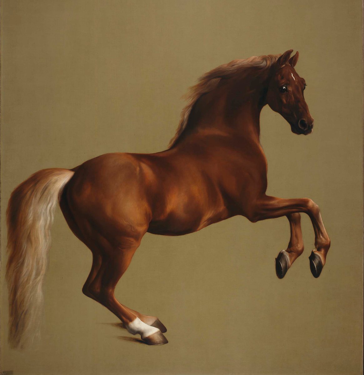 Whistlejacket by George Stubbs