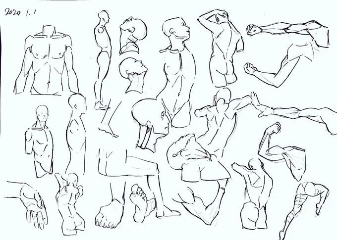 模写 