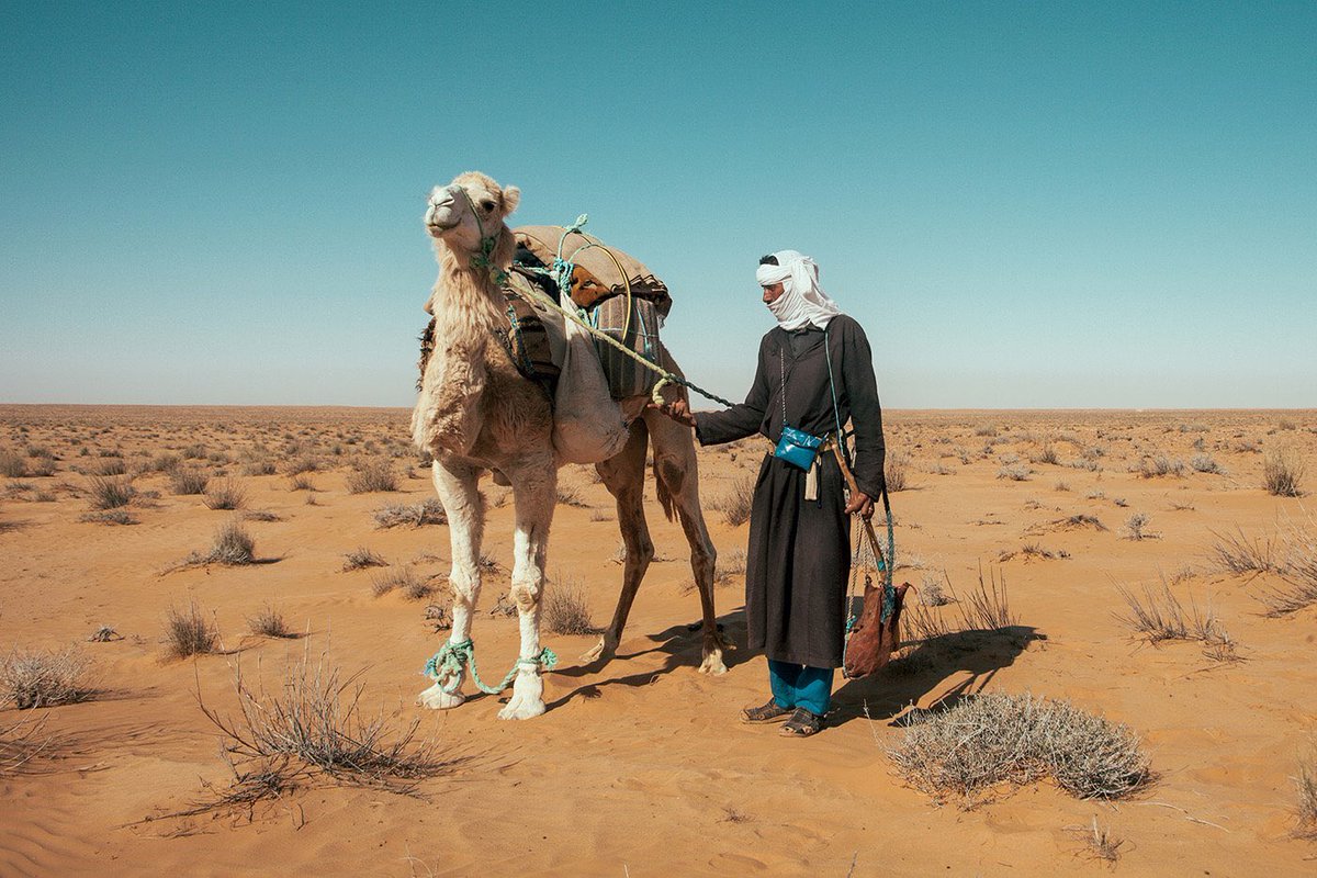 «  Je mènerai mes fils loin des terres humides
Qui font l’homme, un esclave étouffant sous l’affront. 
Plutôt leur honneur sauf, ventres à moitié vides,
Et non ventres repus au prix d’humiliations. »

Sī āl-Mahjoūb, poète des Āwlād Marzoūq de Doūz.