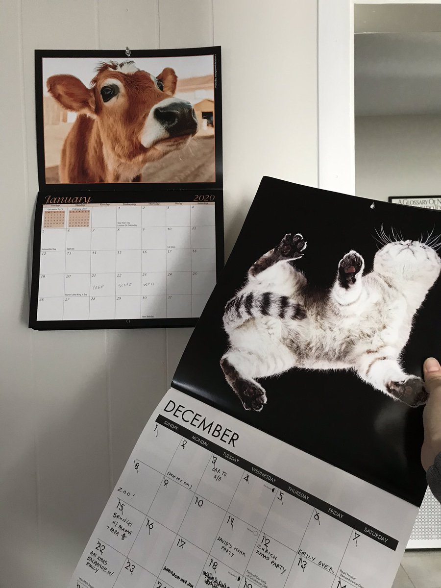 So long Undercats and hellooooooo <a href="/m_crouton/">Crouton & Friends🏳️‍🌈🦋</a>!