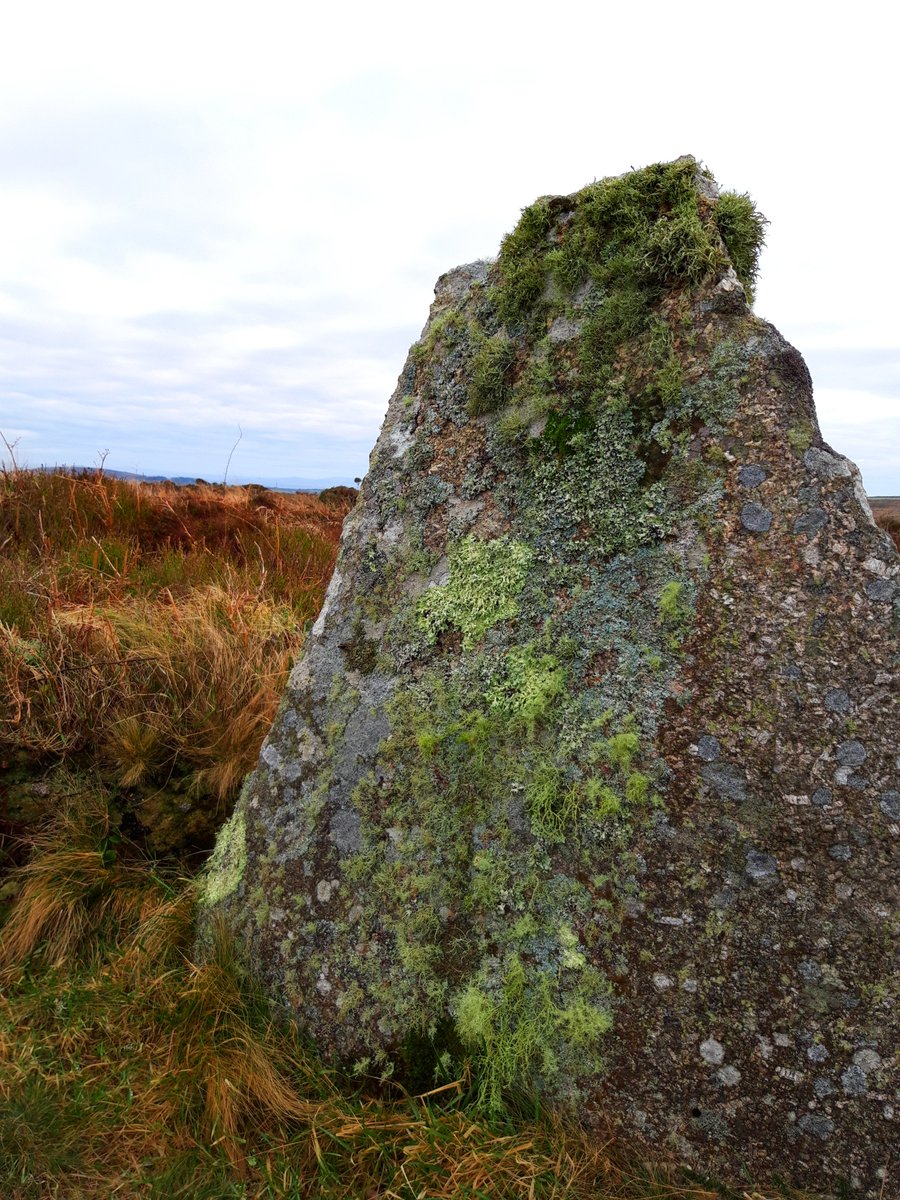 Sperris Quoit (The Giants Grave) is in ruins but it may be as much as 7000 years old so that's not surprising. Probably once looked like one of our other local quoits (Pic 4) .A very peaceful spot for a New Years Day walk today. #PrehistoryOfPenwith