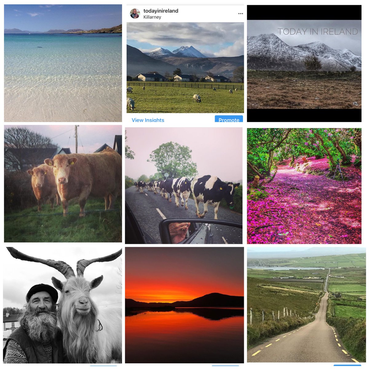 Top 9 photos on Instagram in 2019. 72,000+ likes. 
I hope all my followers enjoy the photos - that’s all the kudos I need!
#TodayInIreland 
#WatervillePhotographyGallery #watervilleireland #visitwaterville #skelligcoast #Ireland #topnine2019 #top9of2019