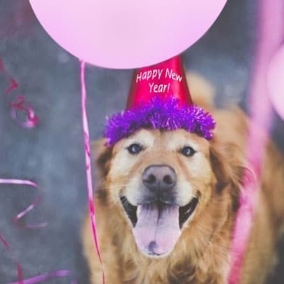 "No matter how little money and how few possessions you own, having a dog makes you rich." — Louis Sabin

Wishing everyone and their pet families a Happy New Year and blessings for 2020!! 🎊🎉 #happynewyear #holidayseason #2020 #bestwishes #louissabin … ift.tt/36lX2wY