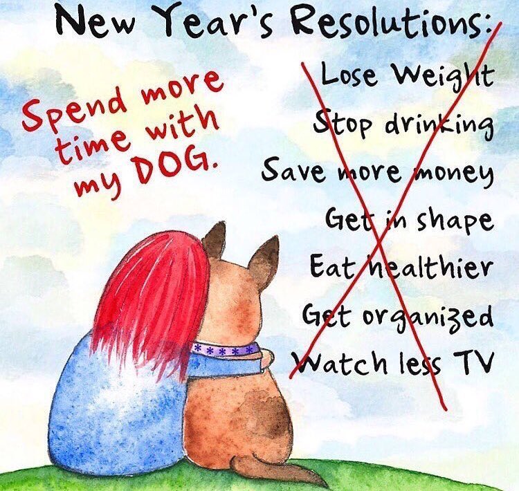 threedogindy's tweet image. We&apos;re OPEN 11AM to 6PM today! 🐾💜 #bringyourpup #bestresolution #spendtimewithyourdog #newyears2020 #threedogindy