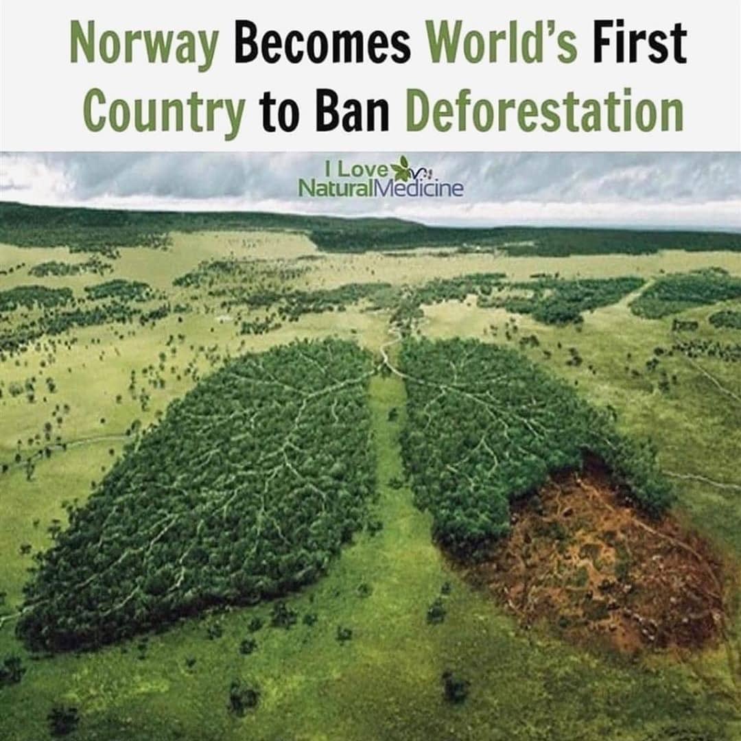 Earth Hero tweet media