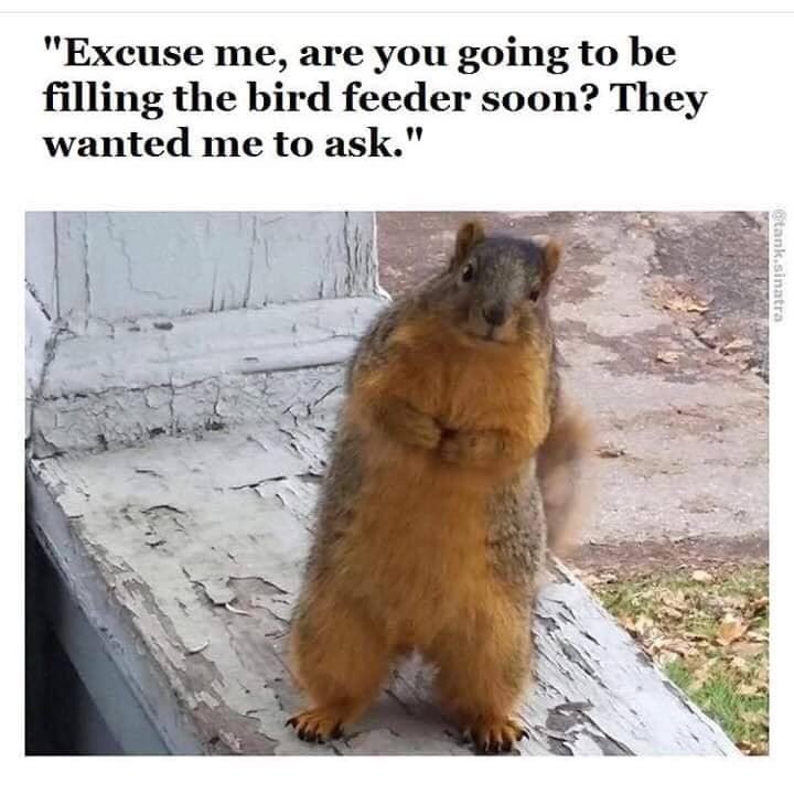 Janellepm's tweet photo. New Years Day Chuckle! Happy 1st day of 2020 to everyone! #lowkeyday https://t.co/0T2frcRMSz