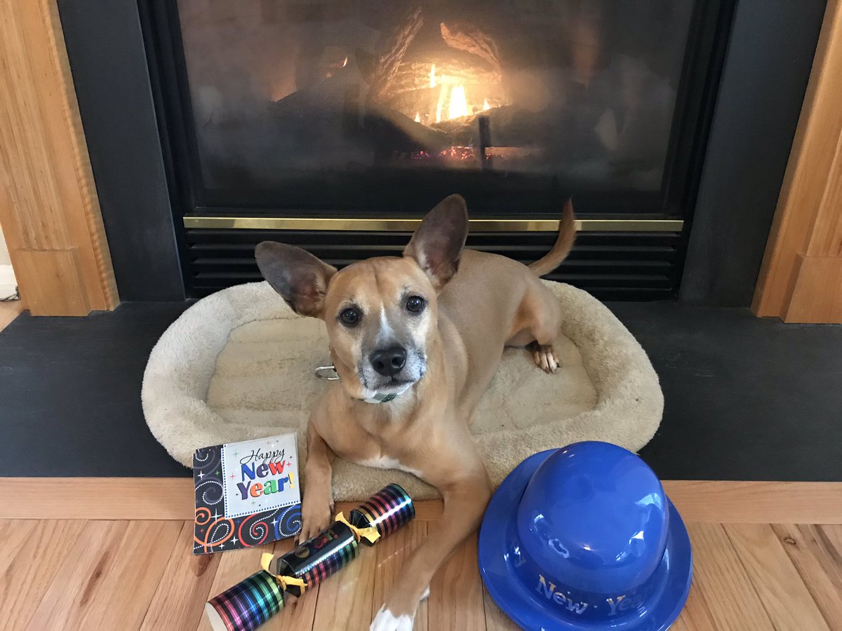 samsonstailbook's tweet photo. Happy New Year!!! Here’s to a 2020 filled with love, good health, and lots of happiness!! 🥳 😊❤️🙌 https://t.co/IlWAQhQAMf