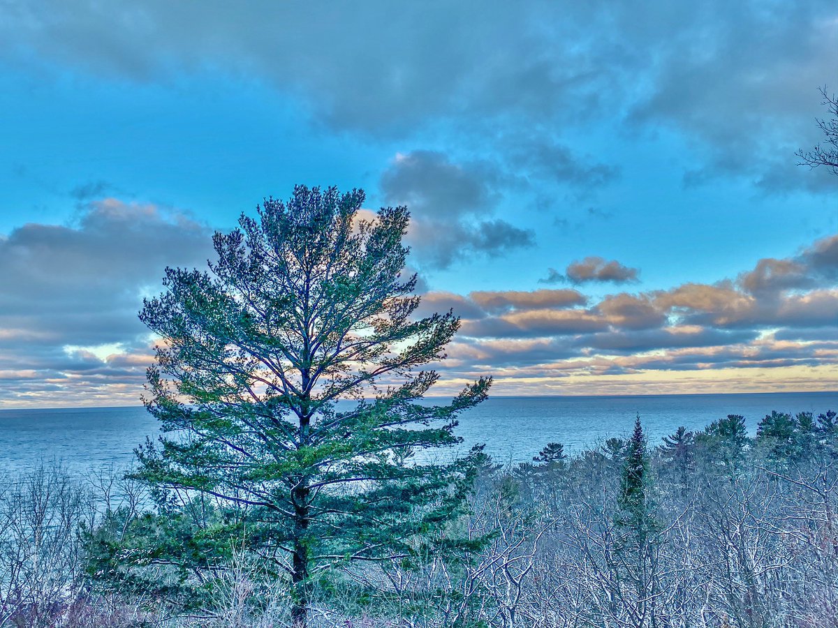 glennrstevens's tweet image. Good morning 2020.
#MichiganStreet #TunnelofTrees #WhitePine #LakeMichigan
