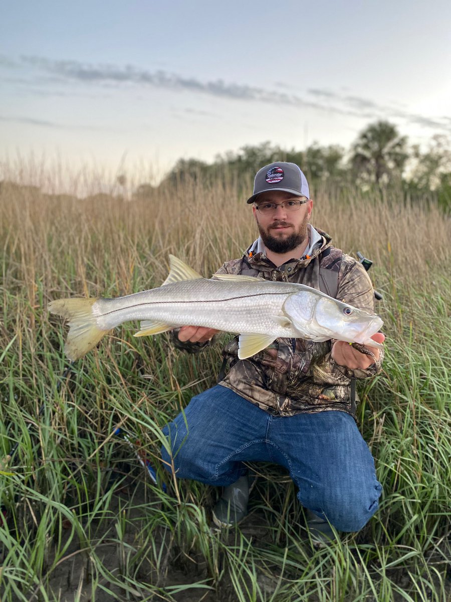 Dylan_Gaughan63's tweet photo. Last fish of 2019 what a year of many snook and several being my pb over 40 inches! I can’t wait to see what happens this year! 2020 bring some PB breakers! #snook #winterfishing #redfish #paddletail #tailwateroutfitters #lastfishof2019 #saltwaterassassinlures #bassassassin https://t.co/0XfJX09sGE