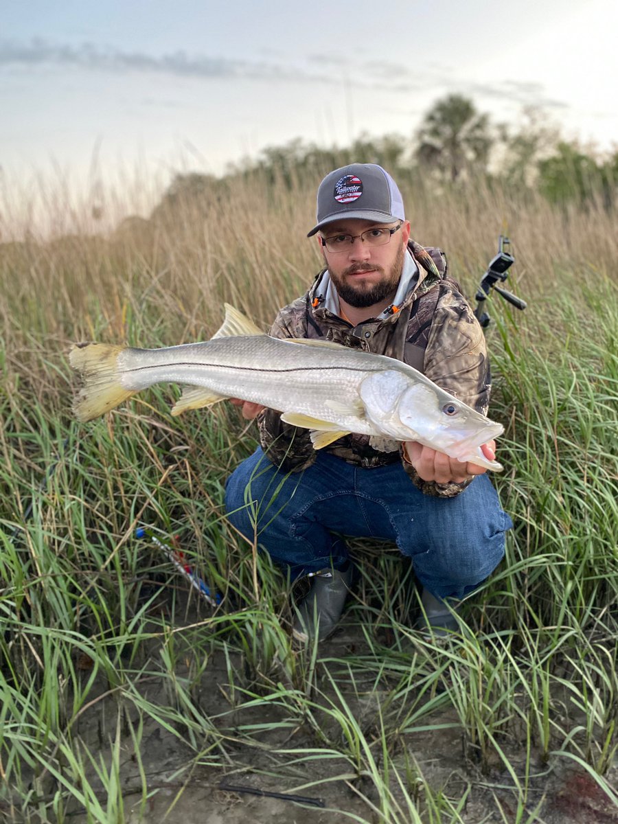 Dylan_Gaughan63's tweet photo. Last fish of 2019 what a year of many snook and several being my pb over 40 inches! I can’t wait to see what happens this year! 2020 bring some PB breakers! #snook #winterfishing #redfish #paddletail #tailwateroutfitters #lastfishof2019 #saltwaterassassinlures #bassassassin https://t.co/0XfJX09sGE