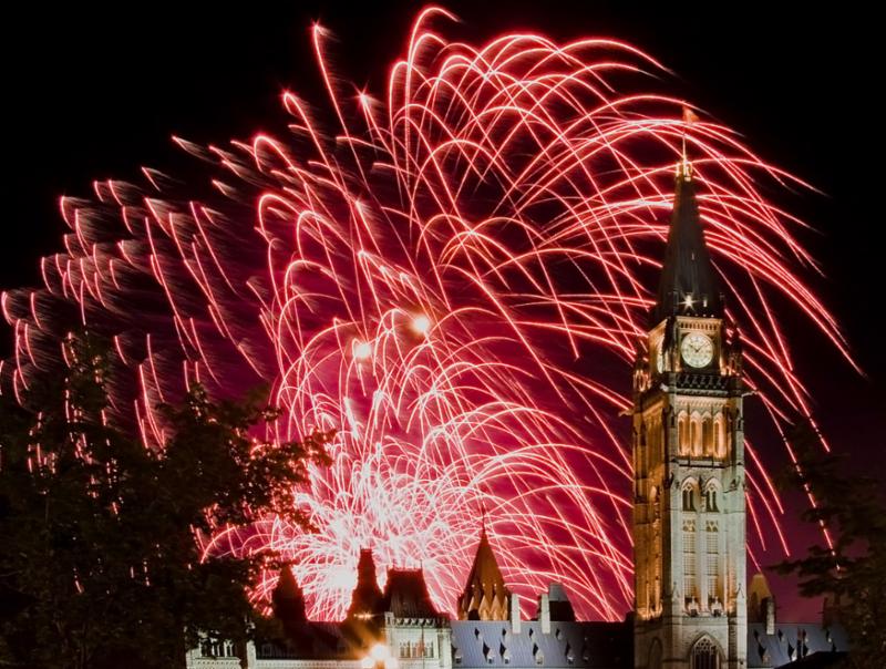 WilkinsonVets's tweet photo. Happy New Year! https://t.co/uq0QVMGvMX https://t.co/FK0T4lKluI