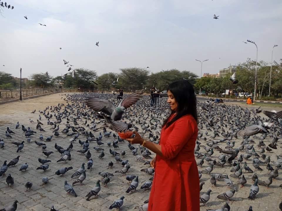 Seemajain515's tweet image. I fed pigeons on my birthday and felt so nice. So I've decided that I will feed Pigeons everyday. Not even a single day will be there when I am gonna skip. I hav realized that I don't feed the birds because they need me; I feed the birds because I need them. 😍  #Keeros!