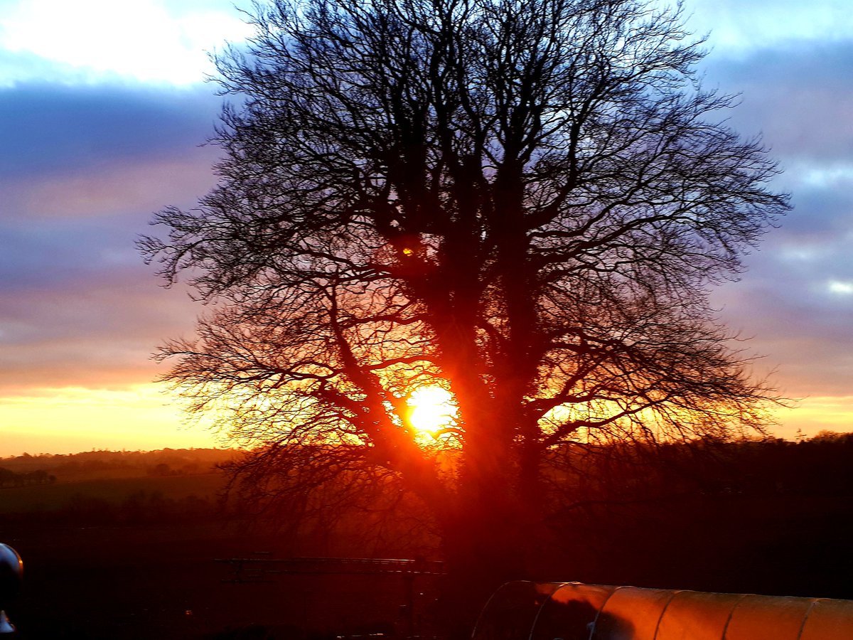 artofsinging's tweet image. 1st Carlow sunset of 2020 &amp;amp; already seeing the stretch. This year i will run my first half marathon &amp;amp; i look forward to assisting more people with their wellbeing goals &amp;amp; providing Authentic Path Inspiration #Wellbeing #NewYear2020 #AuthenticPath