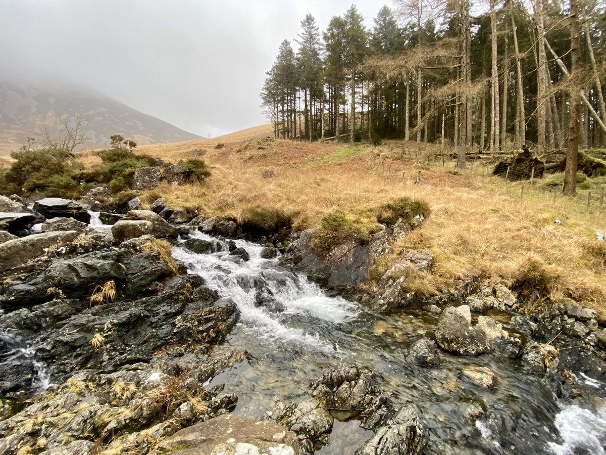 The landscape around Cadair Idris (just up from the Mach Loop) is amazing. I love Wales 🏴󠁧󠁢󠁷󠁬󠁳󠁿 #Snowdonia #Wales #lfa7 #mountajns <a href="/visitsnowdonia/">Snowdonia National Park</a> <a href="/visitwales/">Visit Wales 🏴󠁧󠁢󠁷󠁬󠁳󠁿</a> <a href="/carolvorders/">Carol Vorderman</a> <a href="/SnowdoniaPics/">Exploresnowdonia</a> <a href="/photooftheday/">Photos of the Days</a> <a href="/DerekTheWeather/">Derek Brockway - weatherman</a>