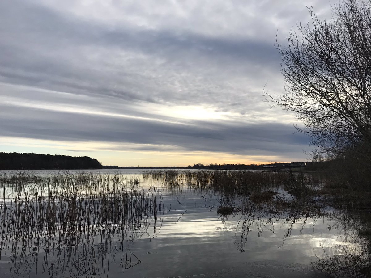 Šodien kopā ar <a href="/birdinglatvia/">Birding Latvia 🇺🇦</a> putnojot  5 h nepilnu 5,5km rādiusā ap māju 50 putnu sugas. Interesantākais novērojums trīspirkstu dzenis. Mans 1. putns jaunajā desmitgadē lielais baltais gārnis