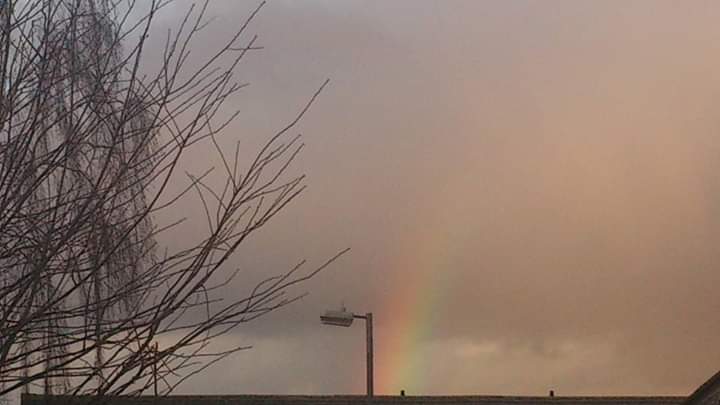 JonPaulCollard's tweet photo. @Pontifex Y? Peace? Some things are by the whisper of the Divine face of a #BarnOwl as she flies through the cold still air. The #Nimbus face of a cherubim bird #Poetic I Loved the House Martens of #TrinityRoadInfantSchool who lived in the eves &amp; rafters in mud pods attached to bricks! https://t.co/A93b6rfrwP