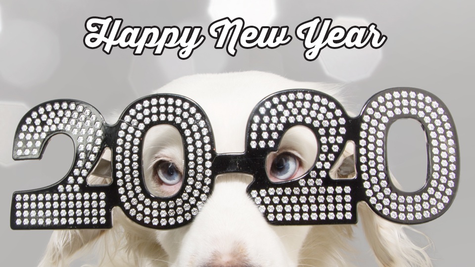 Happy New Year!  #VegasNYE #Vegas2020 #NewYearsDay