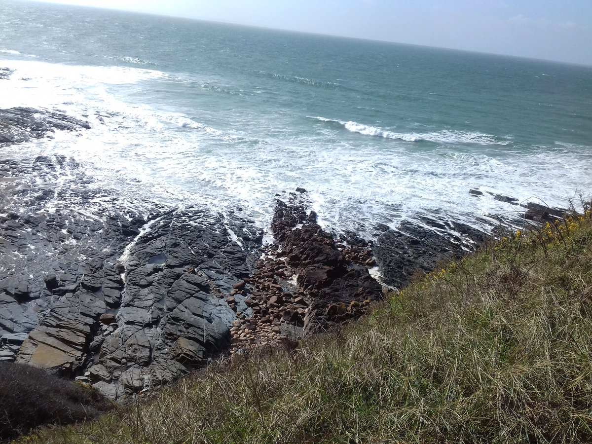 Sonpic1's tweet photo. Nature https://t.co/QxKkDvRvSk