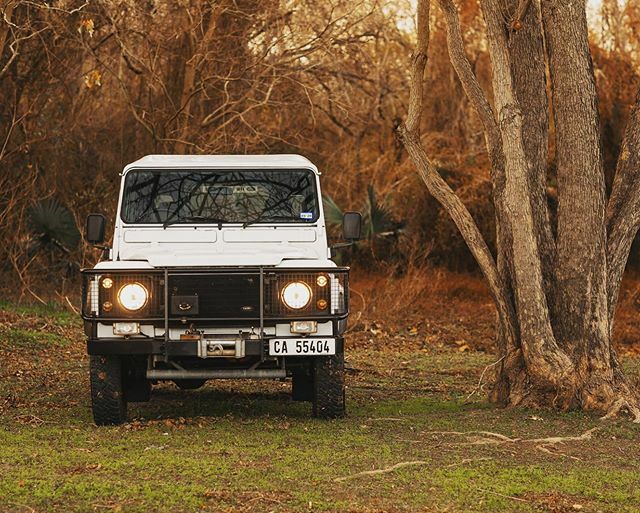 SecondDailyLLC's tweet photo. 1994 Defender 110 tdi300. Posting soon on Second Daily. Very original and very South African galvanized chassis. Located in Texas and offered for those discerning buyers. .
.
#defender #texas #instadaily #instagood #seconddaily #landrover #landroverdefen… https://t.co/2zbq4Q9kS7 https://t.co/wwrphBozSC