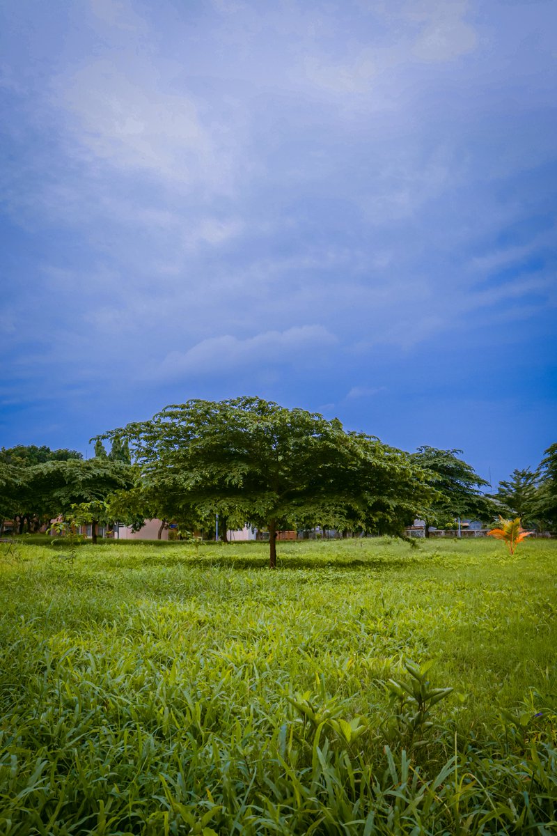 29 Foto Pemandangan Alam Diwaktu Senja Foto Pemandangan HD