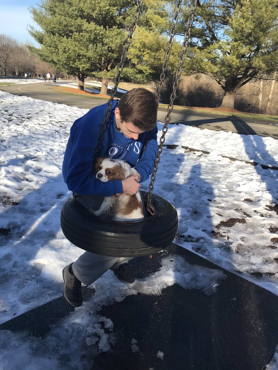 MiniPuff2020's tweet photo. Mini had a great time at Fort Benjamin Harrison on Christmas Day!! Her favorite part was swinging on the tire swing ❄️🎄🎁 https://t.co/bIaroLJfum
