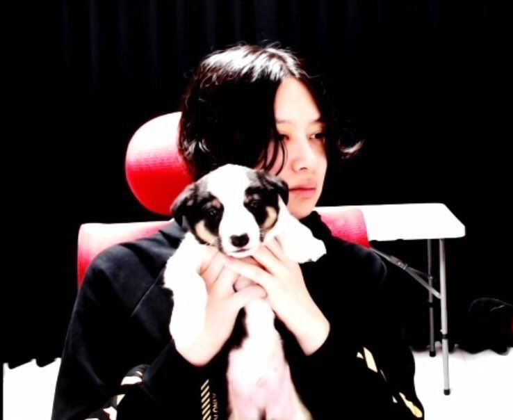 heechul loves animal. he temporarily took care of a puppy while it was waiting for a new owner & he spent days & nights taking care of it. he even cancelled his new year party with his friends so that the puppy wouldn't be alone. his friends ended up coming over instead.