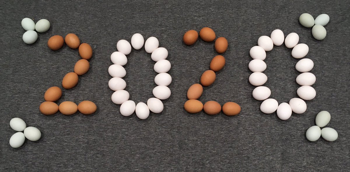 BeechwoodEggs's tweet photo. Happy New Year and Happy New Decade to Everyone from Us all here at Beechwood Farm!
#EggArt #Eggs #NewYear #NewDecade #Farming #FarmingUK #Berkshire #HapppyNewYear #2020 #FamilyFarm #BeechwoodEggs #FunWithEggs #Art #HappyTimes #Hope #LoveTheFuture https://t.co/hlI0Mn8vbd