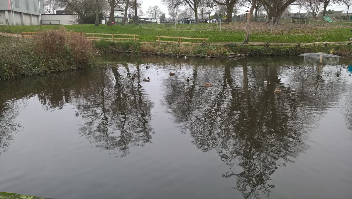 DrRobPhillips's tweet photo. Started 2020 with a #doubleparkrun at @dintonparkrun and @Woodleyparkrun both v. Busy, time unimportant - should get to my 500 milestone this year... https://t.co/R3GY4TgCw9